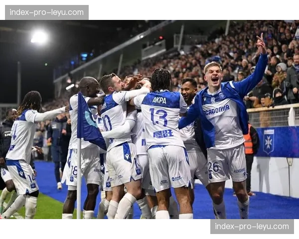 下赛季法甲比赛用球谍照曝光，采用全新设计