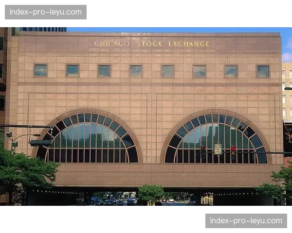 资本涌入:中东财团投资综合格斗产业链的现状与展望 资本涌入:中东财团投资综合格斗产业链的现状与展望